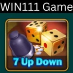 Win111 Game